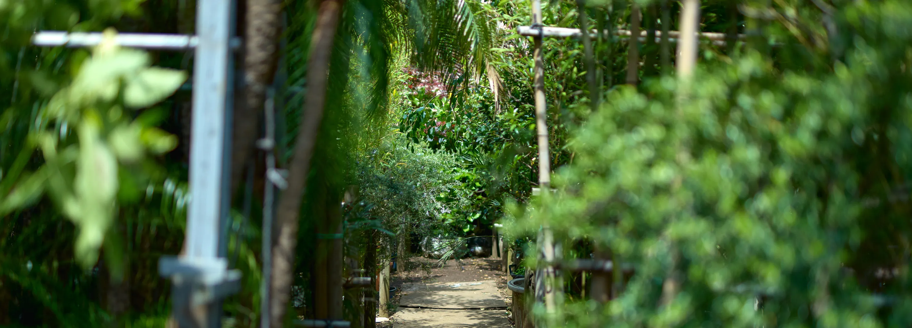 野沢園