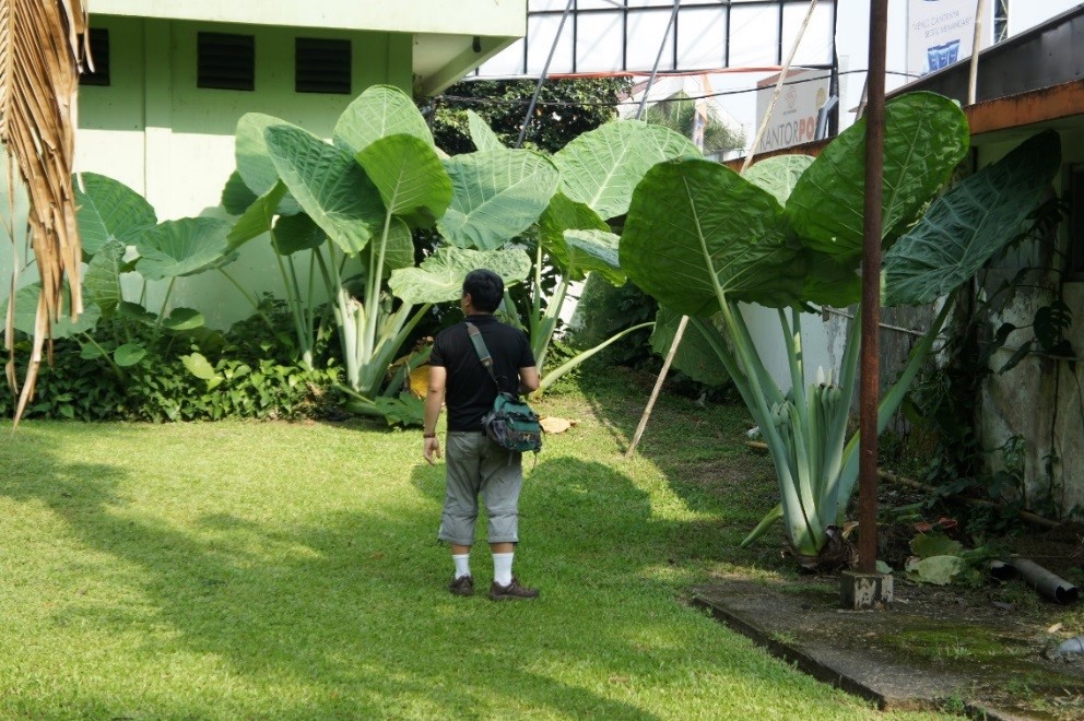 野沢園　インドネシア視察旅行