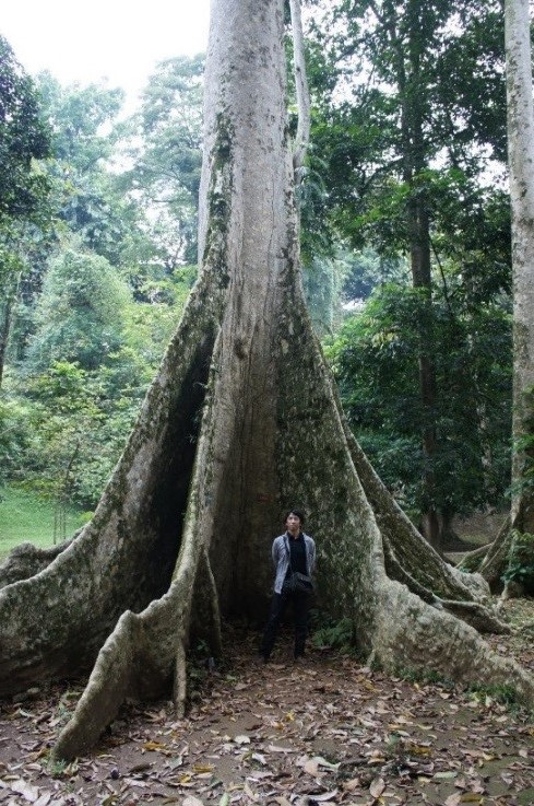 野沢園　インドネシア視察旅行