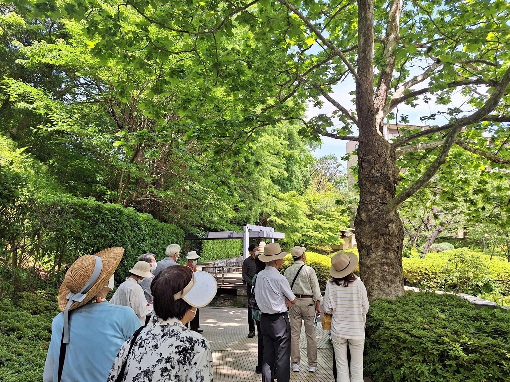 野沢園　造園　植物観察会