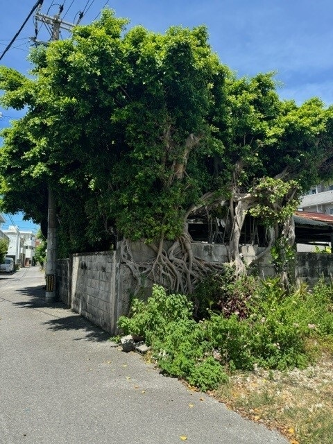 野沢園スタッフブログ