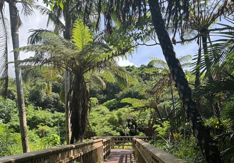 野沢園スタッフブログ