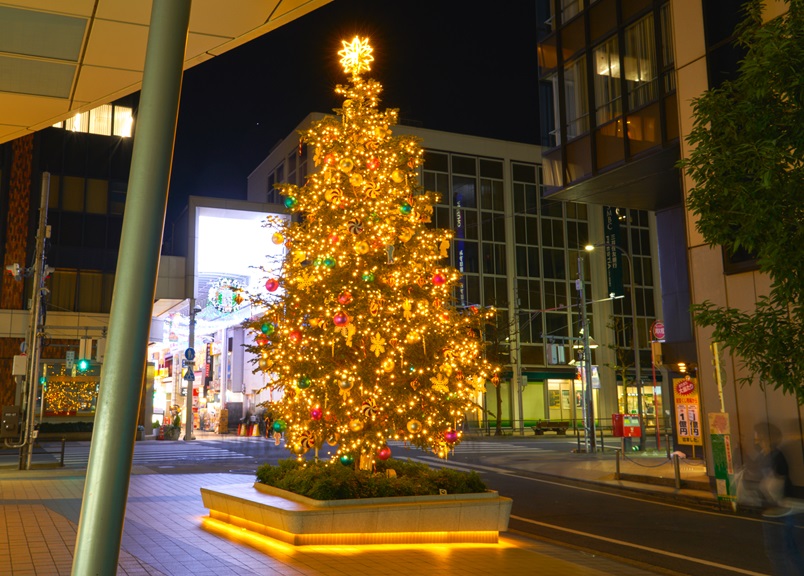 東急百貨店　吉祥寺店　クリスマスツリー2022