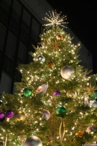 クリスマス装飾　野沢園